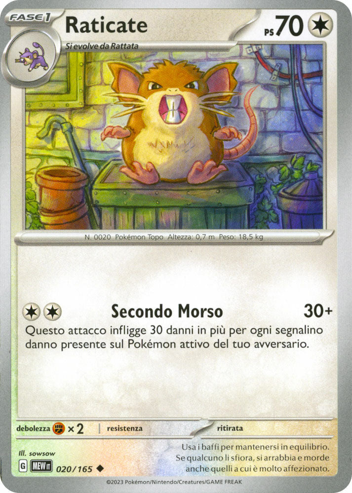 Raticate - Non Comune (IT)