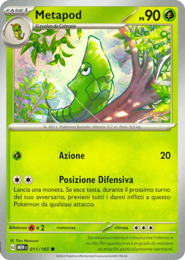 Metapod - Comune (IT)