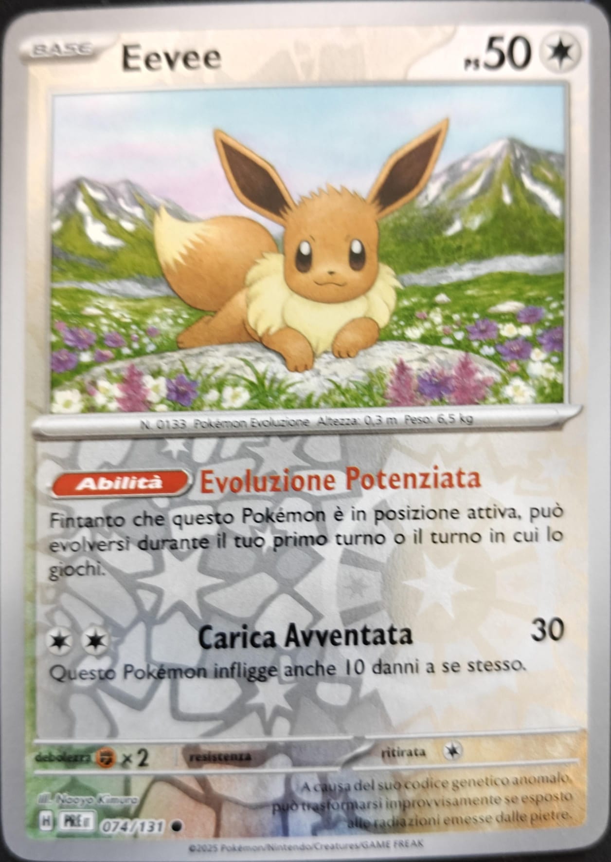 Eevee - Comune Reverse (IT)