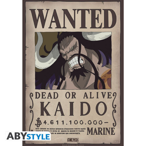 One Piece Taglia Kaido 52x38