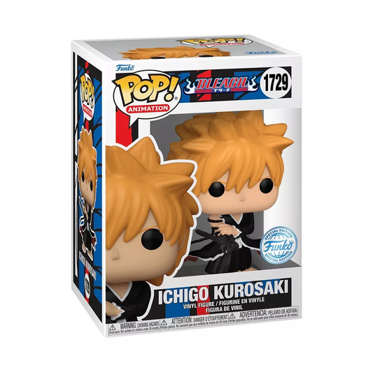 Bleach - Ichigo Kurosaki (1729) Special