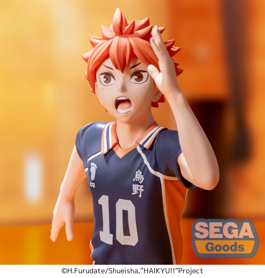 Haikyu!! - Shoyo Hinata 15cm