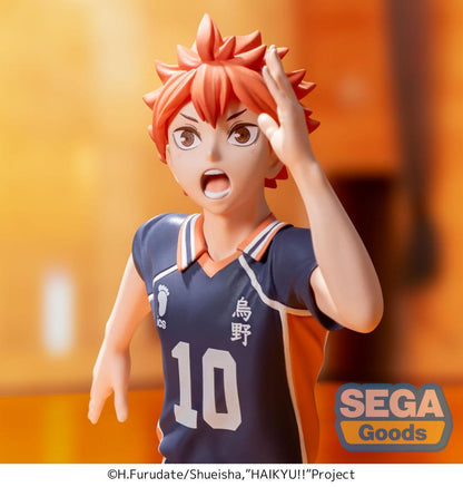 Haikyu!! - Shoyo Hinata 15cm
