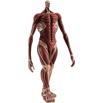 Attack On Titan - Armin Colossus Titan 26cm