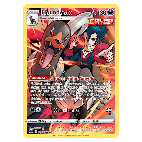 TG10-TG30 Houndoom - Illustrazione Rara (ITA)