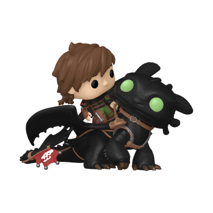 How to Train Your Dragon - Hiccup with Toothless (123)