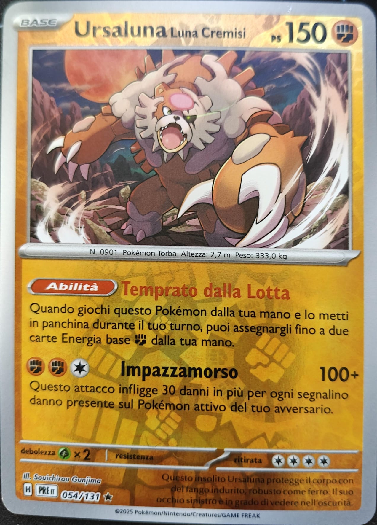 Ursaluna - Rara Reverse (IT)