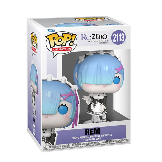 Re:Zero - Rem (2113)