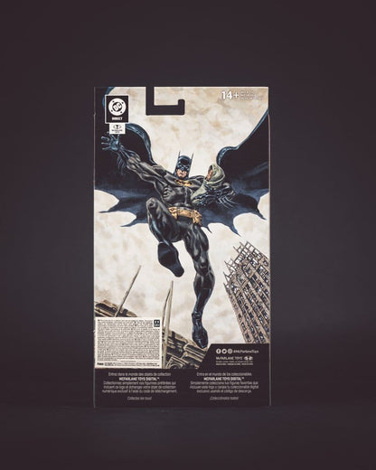 Batman No Man's Land - Batman Platinum Edition 18Cm