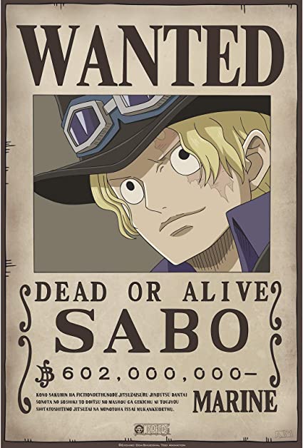 One Piece Taglia Sabo 52x38